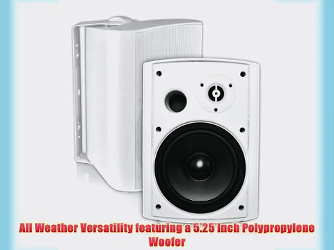 OSD Audio AP525-70V White 5.25-inch 2-Way 8 Ohm 70V Commercial Indoor or Outdoor Speaker Pair