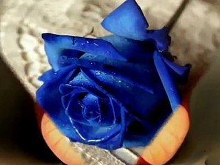 50 Receitas " Leoni"