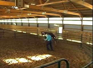 Randy Byers Horsemanship Ground Work Demonstration Video.