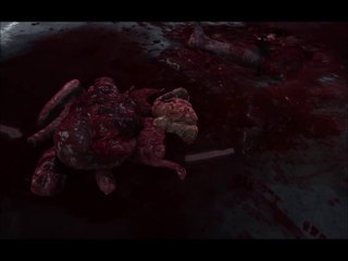 Outlast Walkthrough Fr No Commentary Part19