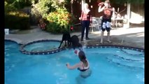 Funny Dog In Pool - Dump a day funny dog pool pushed falling