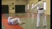 demo judo ju-jitsu self defense