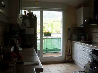 oiseau qui se tape le bec contre une fenêtre