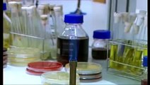 Técnicas Básicas en el Laboratorio de Microbiología. Tinciones
