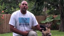 Dog Training & Care : Older Dog Potty Training