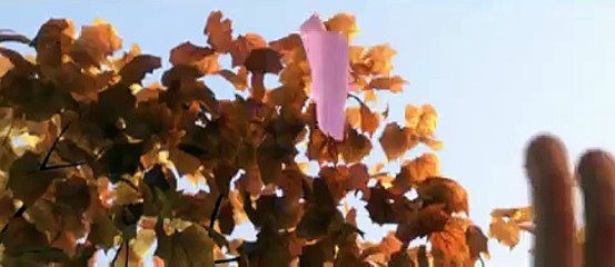 REALLY REALLY nice 3d cartoons