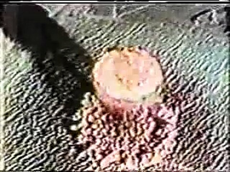 Blue Oyster Cult - Veteran of the Psychic Wars