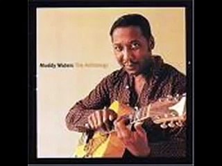 Muddy Waters - You Shook Me