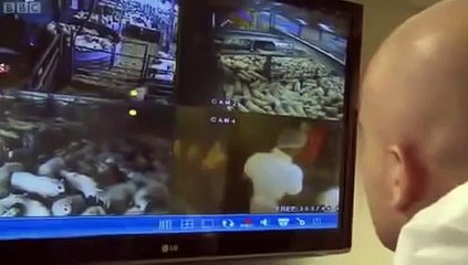 The One Show   Halal Meat in the UK