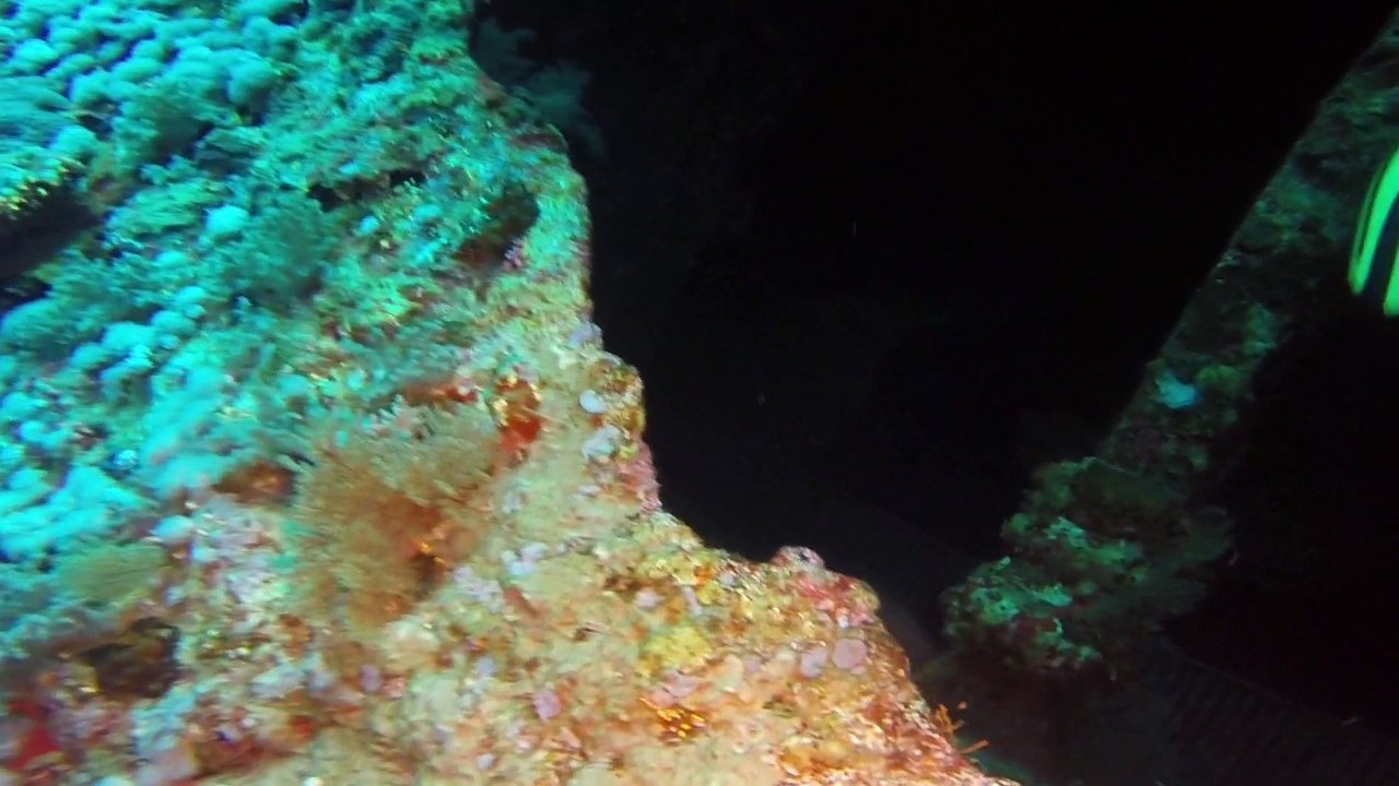 Numidia wreck penetration - Brothers Islands, Red Sea - Final cut
