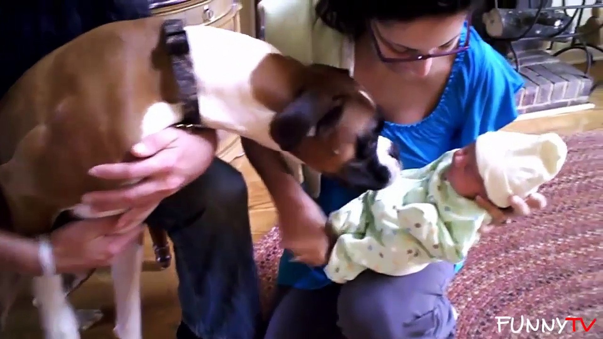 ⁣'Pets Are Excited About Meeting Babies' Compilation
