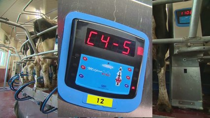 Milkline Proactive Karussell, 60 Plätze - Japan