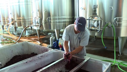El incierto futuro del vino argentino
