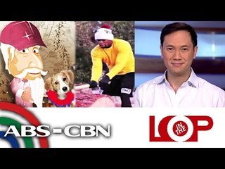 In the Loop: 'Rocky' vs Pacman; Max loves dogs