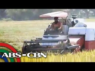 Mga magsasaka naghahanda para sa 'Betty'