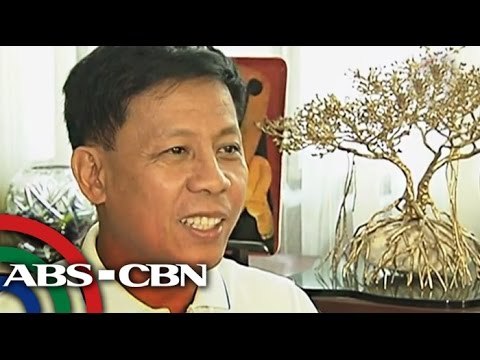 Napenas, 'di sang-ayon sa ilang bahagi ng BOI report