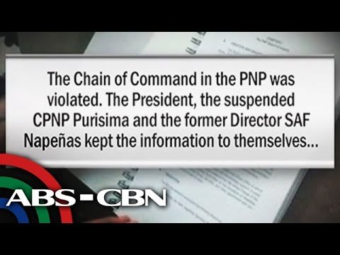 BOI report tags PNoy, Purisima, Napeñas