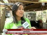 TV Patrol Ilocos - March 11, 2015