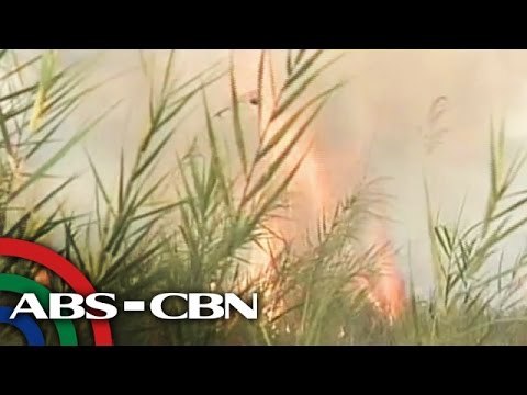 Grass fire, sumiklab sa paligid ng Mayon