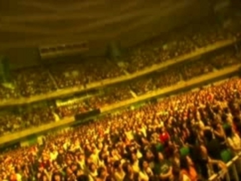 オルゴオル (live)