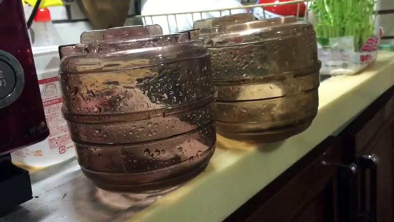 文鳥動画 バードバスで二羽仲良く水浴び
