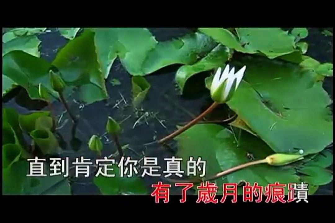 至少還有你 * 林憶蓮  (KTV)