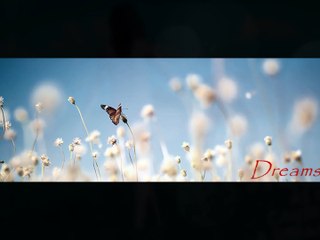 The Cranberries -Dreams (Remix)