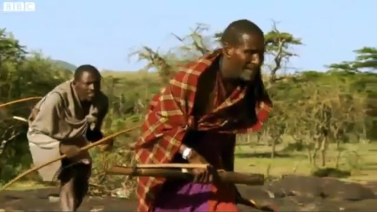 Men stealing meat from lions.flv