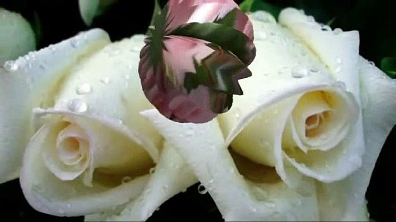 JULIO JARAMILLO-   FE VERDADERA  (Vals Peruano)