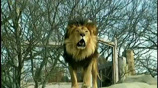 new islamic miracle معجزه حيرت علماء الارض سبحان الله لااله الا الله