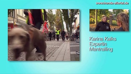 Mantrailing - Was ist Mantrailing?  Was bringt Mantrailing für Hund und Mensch?