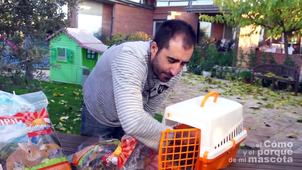COBAYAS, CUYES  - Cómo viajar con mi mascota