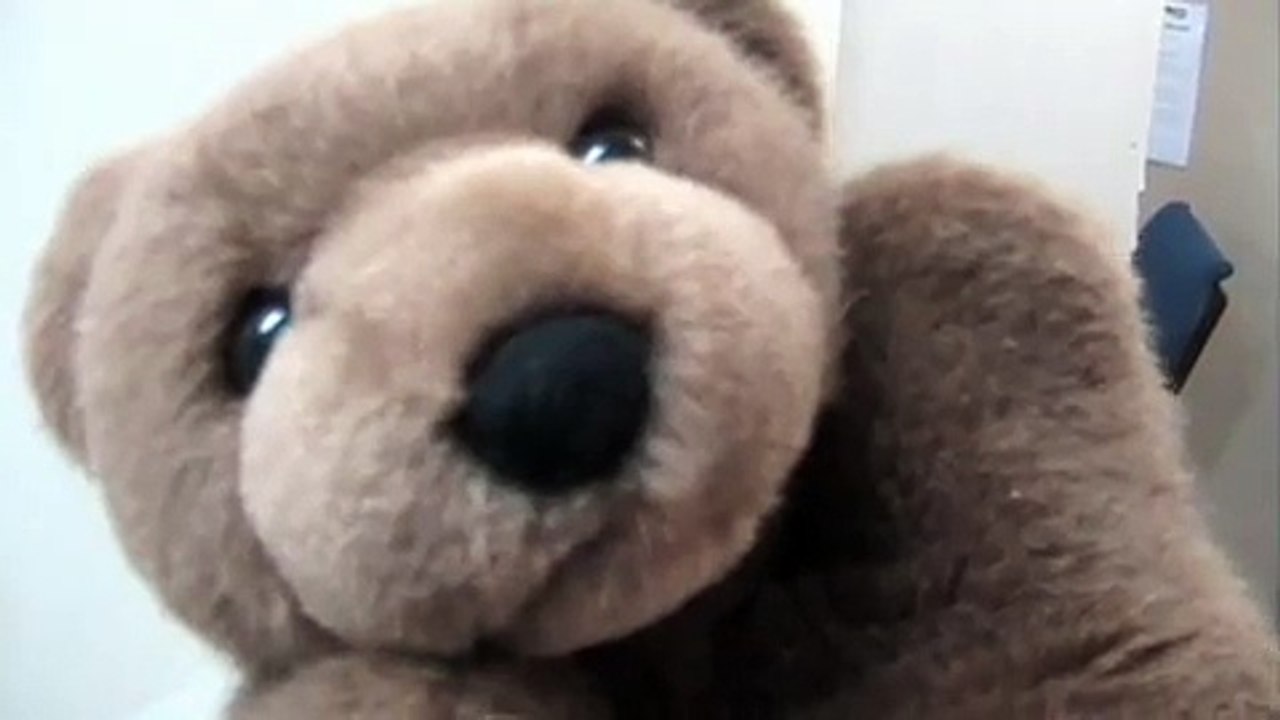 Giant Spider Vs Little Bear