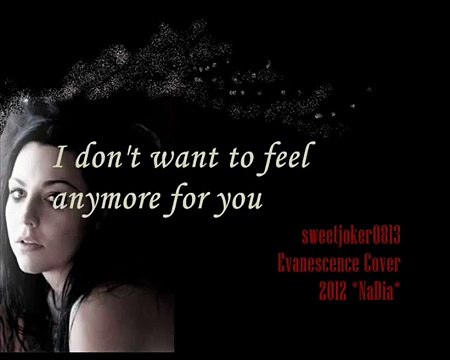 Evanescence - Like You (NaDia Cover 2012) with Lyric