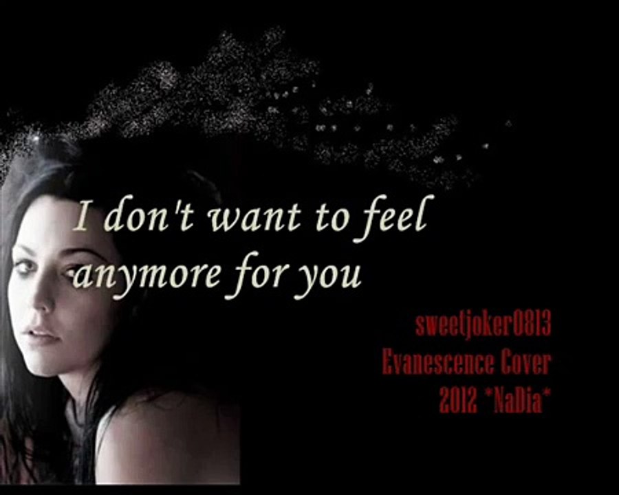Evanescence - Like You (NaDia Cover 2012) with Lyric