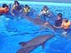 Benidorm Mundomar Dolphin Encounter WORTH EVERY PENNY