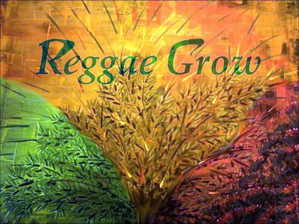 SWISS & ETANA  -  IF TOMORROW NEVER COMES - Reggae