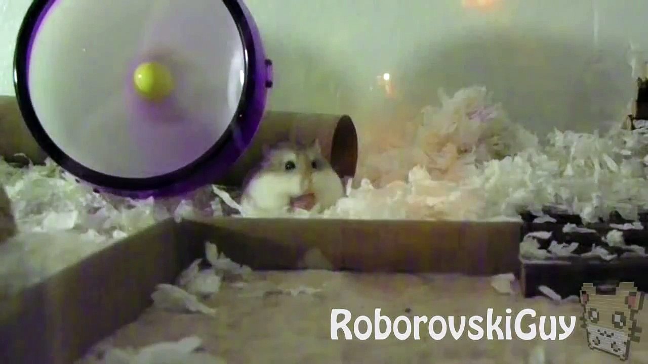 Sticky Fingers - Robo Hamsters