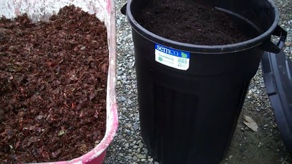 Shredded Leaf Mulch vs COMPOST