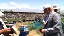 Afghan bees produce more than honey (NATO in Afghanistan)