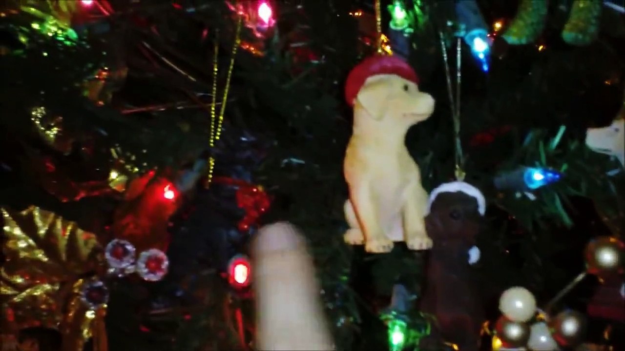 How To Beautifully Decorate Your Christmas Tree On A Budget Tutorial Ideas