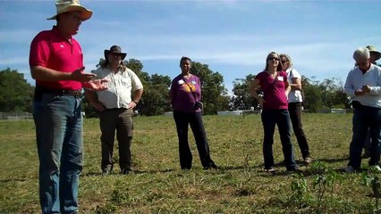 Salatin - Food Safety - Chicken + Eggs
