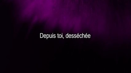 Pas là - Vianney (paroles-lyrics)