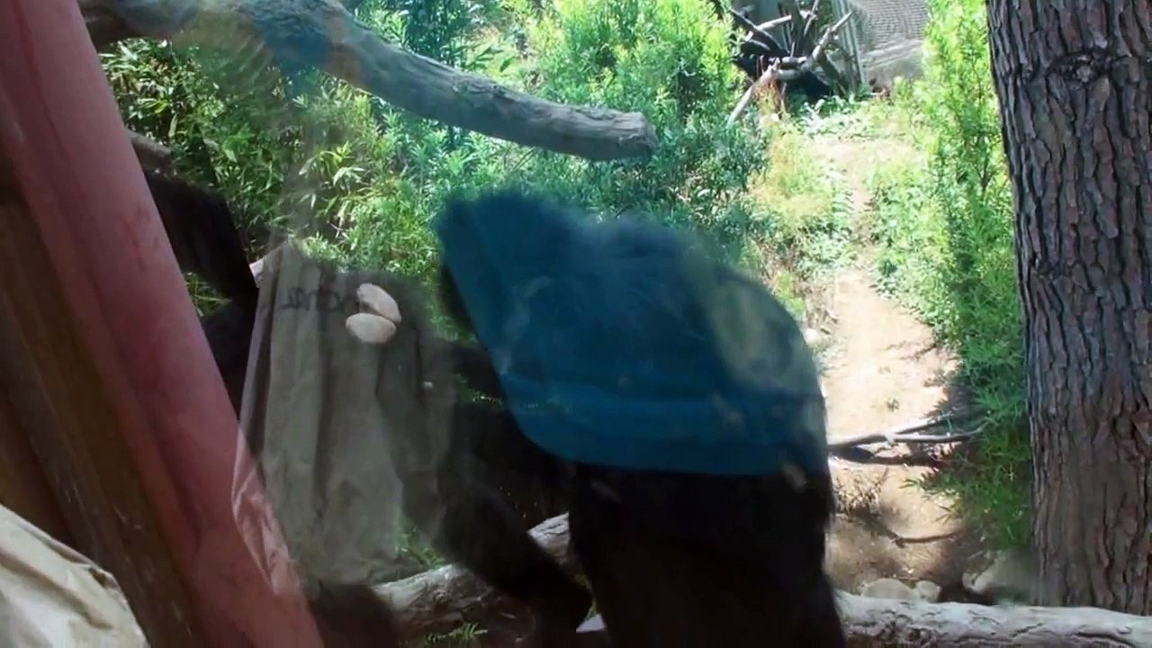 Wild At The LA Zoo