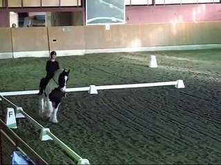 Irish cob (tinker) Domino rids dressyr till "Heavy horses"