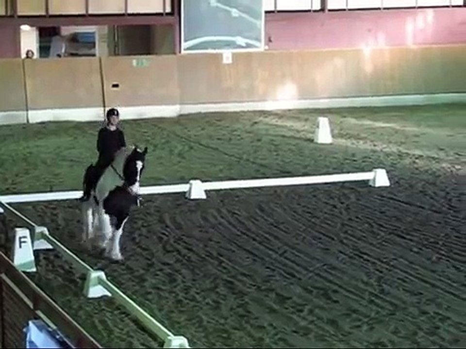 Irish cob (tinker) Domino rids dressyr till "Heavy horses"