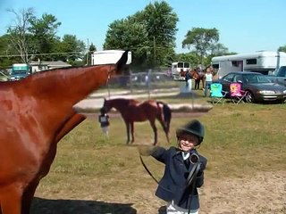 Best Arabian horse video ever