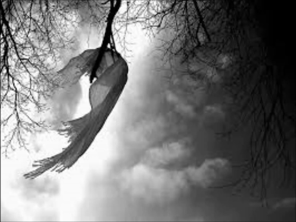 Raison D'Etre - In Emptiness