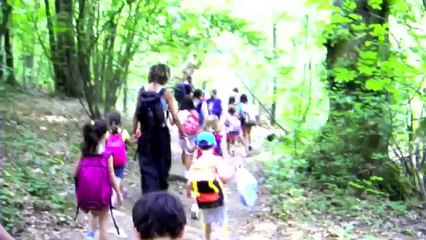 Fattoria l'Aurora, vacanze in fattoria didattica.