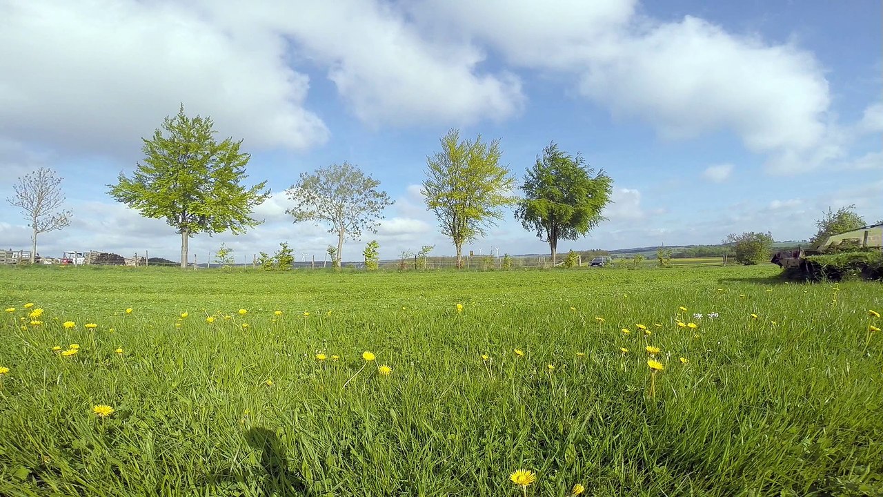 1. Schnitt 15 Lohnbetrieb TPS beim Mähen